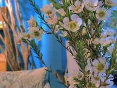 -默迹咖啡馆