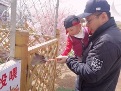 -萌宠亲子动物乐园(槐房万达店)