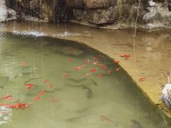 -盛世南宫影视城(北普陀影视城)