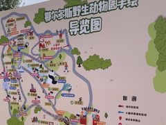 -鄂尔多斯野生动物园