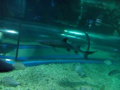 -福州罗源湾海洋世界旅游区