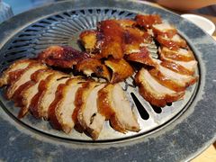 -守柴炉烤鸭(科华中路王府井店)