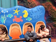 -青岛嘉年华主题乐园