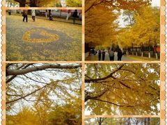 -辽宁大学(崇山校区)