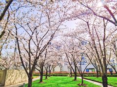 -龙美术馆西岸馆-停车场