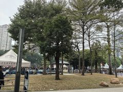 -陈家祠堂-游客中心