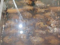 -鸿运兔·手撕烤兔(天府广场店)