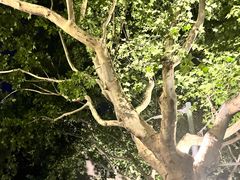 -衡山路(地铁站)