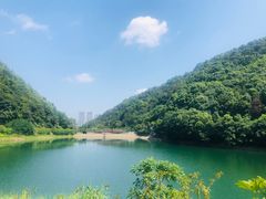 -桃花岭景区
