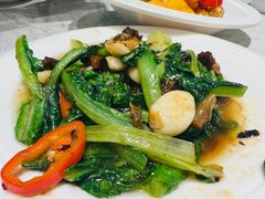 -翠华餐厅(正佳广场店)