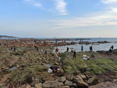 -青岛第二海水浴场