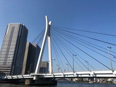 -台场海滨公园船码头