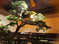 -绿茶餐厅(松江万达店)
