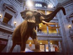 -国家自然博物馆