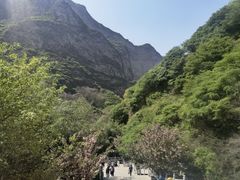 -少华山国家森林公园