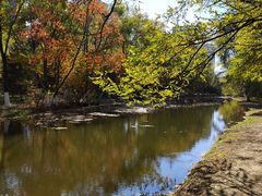 -长白岛森林公园