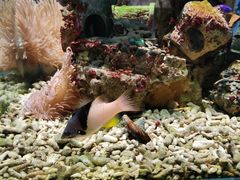 -太平洋海底世界