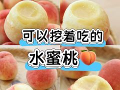 -老袁家蜜桃农场·阳山水蜜桃