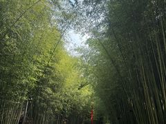 -竹泉村旅游度假区