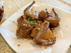 -百利鸽王(紫薇路店)