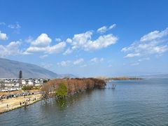 -大理洱海