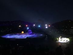 -鼎盛王朝康熙大典实景演出