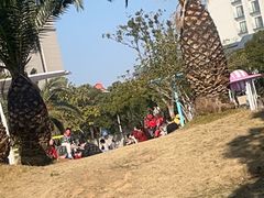 -达蓬山星梦乐园