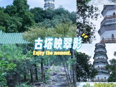 -榴花公园