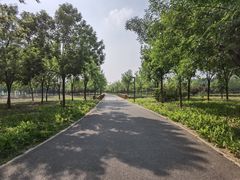 -东郊湿地公园