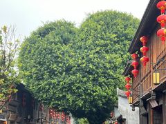 -三坊七巷历史文化街区