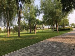 -洨河生态公园