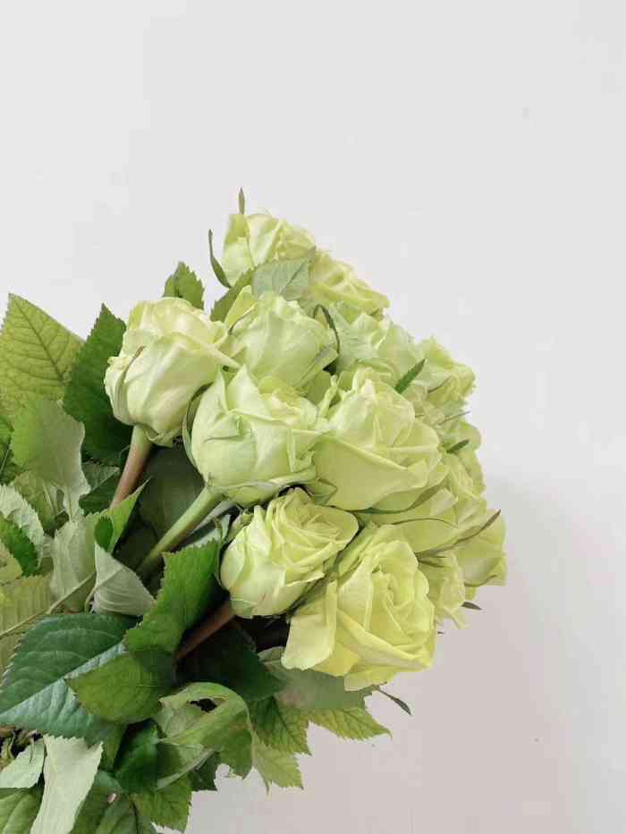 曦月花艺-"爸爸的大徒弟今天领证,张罗个饭局,我也被.