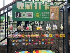 -椿记烧鹅(叠彩店)
