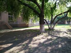 android_upload_pic-辽宁大学(崇山校区)