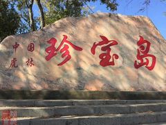 -珍宝岛