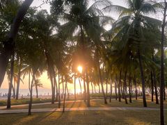 -三亚湾海居铂尔曼度假酒店