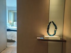 -深圳国际会展中心希尔顿酒店(前海华发冰雪世界店)