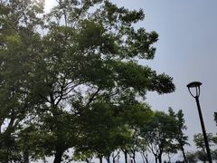 -阳澄湖费尔蒙酒店