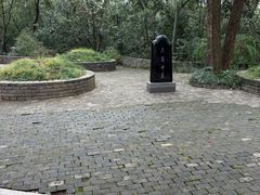 -上海佘山国家森林公园天马山园