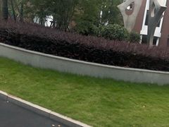 -晋元高级中学附属学校
