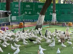 -长白岛森林公园