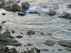 -小石岛景区