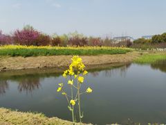 -江南大学(蠡湖校区)