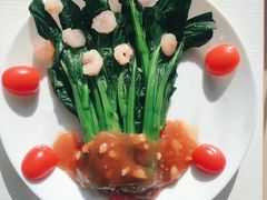 -大班家政月嫂育儿嫂(深圳NO.1店)