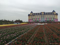 -广州花之恋城堡酒店