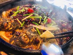 -老板恋上鱼(恒隆广场店)