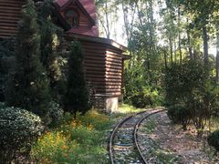 -合肥滨湖国家森林公园