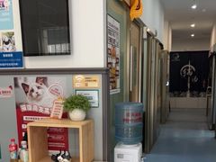 -伟伟宠物医院·瑞派猫友好医院·猫科(光谷店)