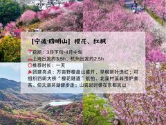 -上海山野camping·户外天幕烧烤·团建拓展营地