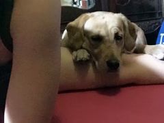 -爱侣宠医·鹦鹉专科·小型哺乳类·异宠专科(灵石路店)